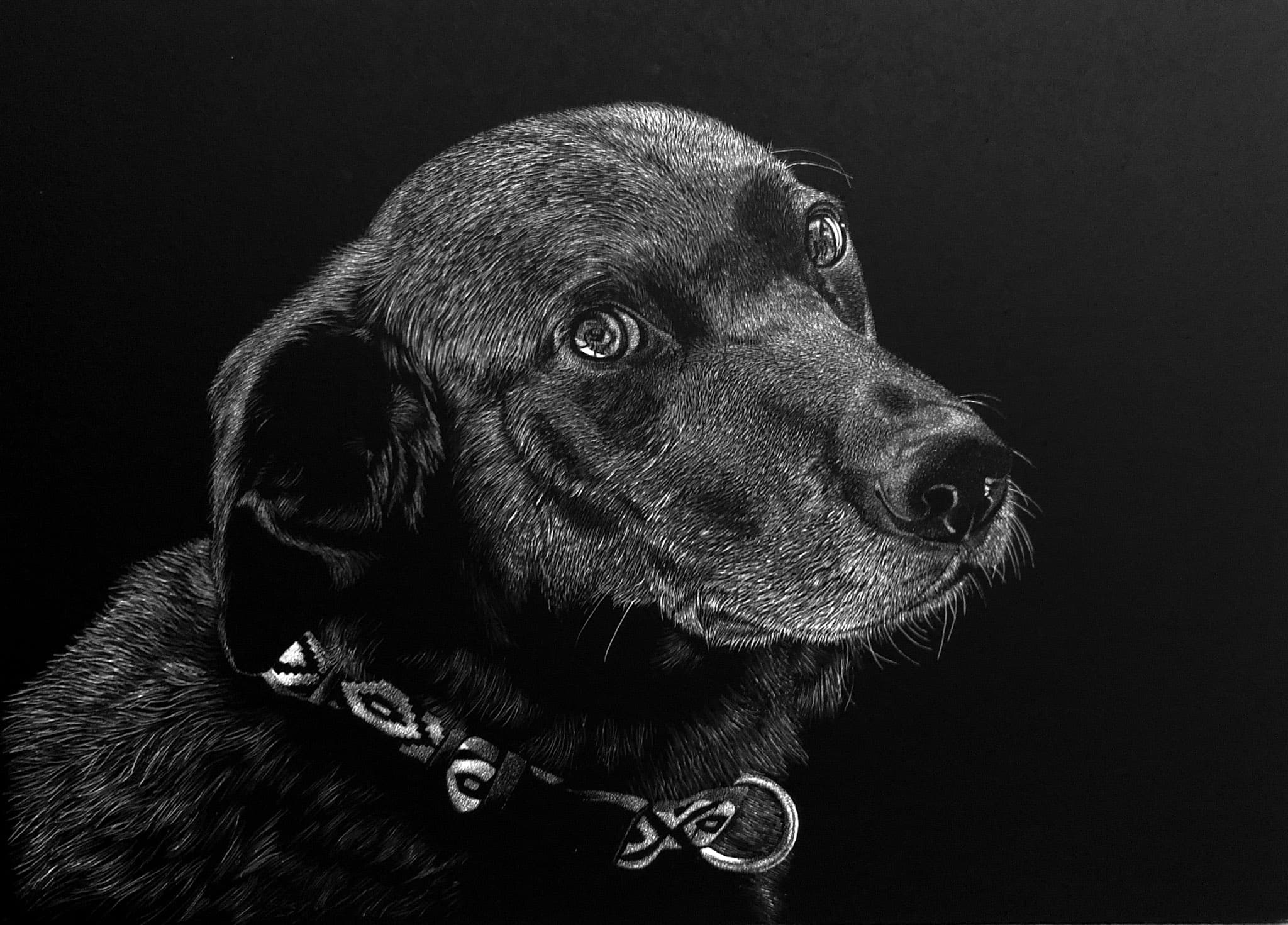 Scratchboard artwork by Nathan Kukla