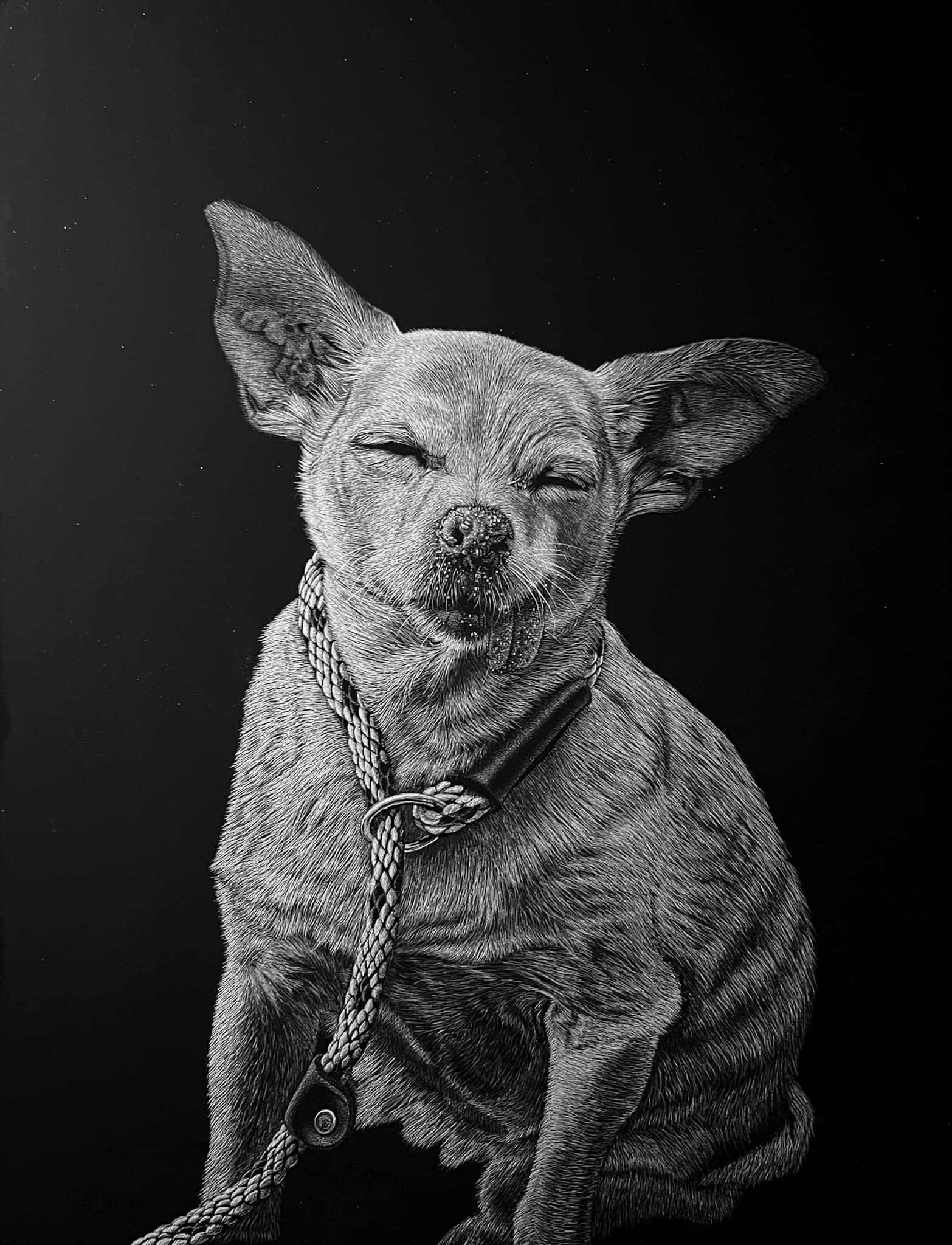 Scratchboard artwork by Nathan Kukla