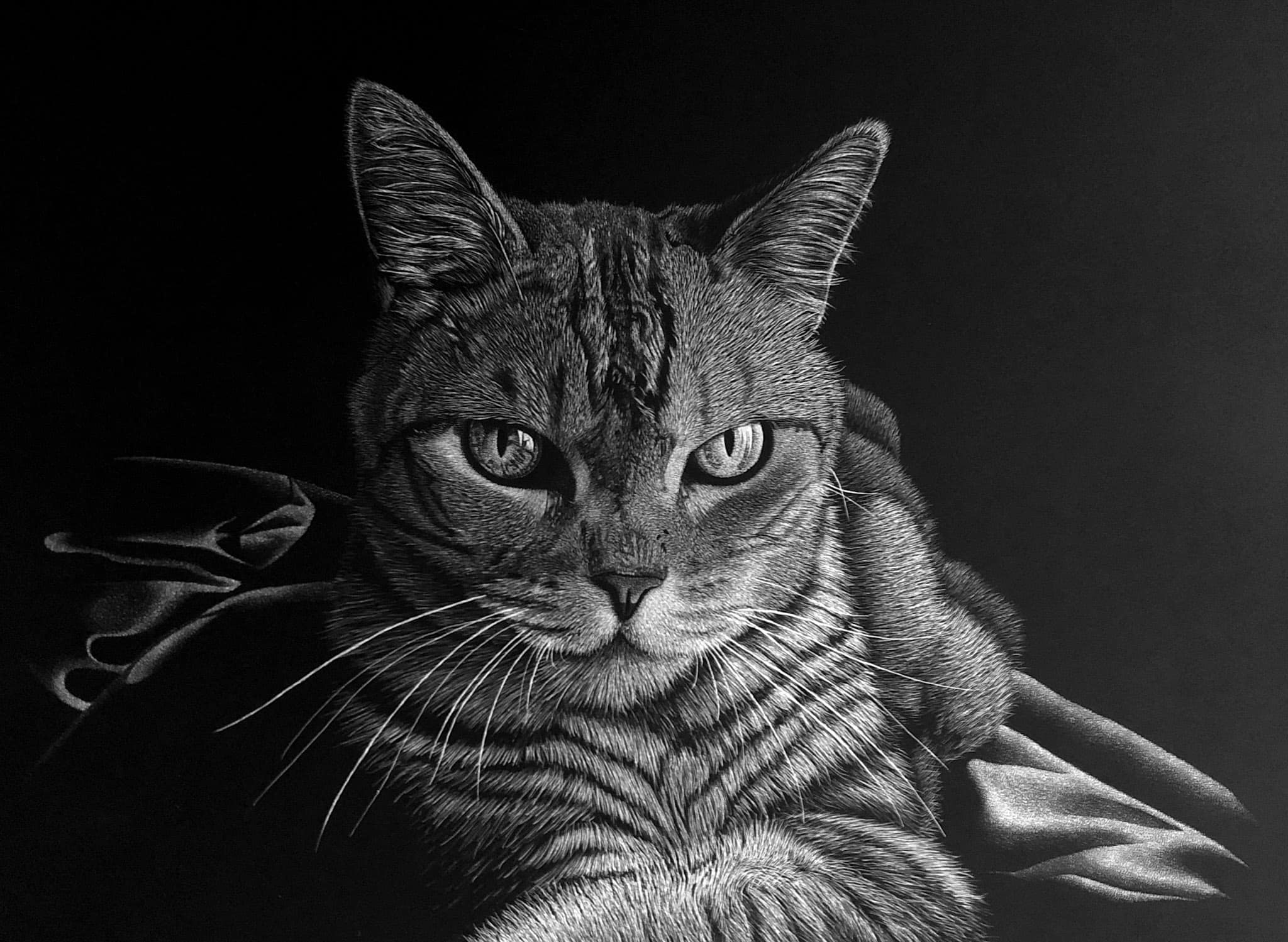 Scratchboard artwork by Nathan Kukla